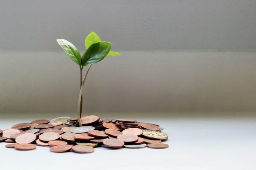 Grow Beyond Green About Us